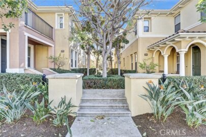 192 Wild Lilac Photo